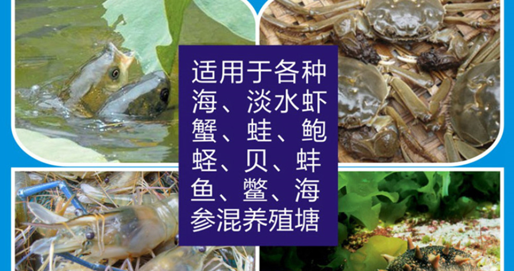 股票代码：688268