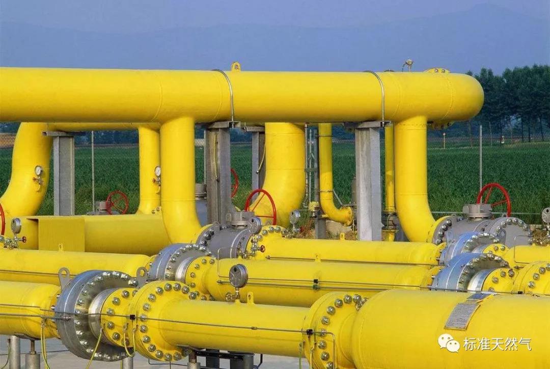 今年孩子们回家过年