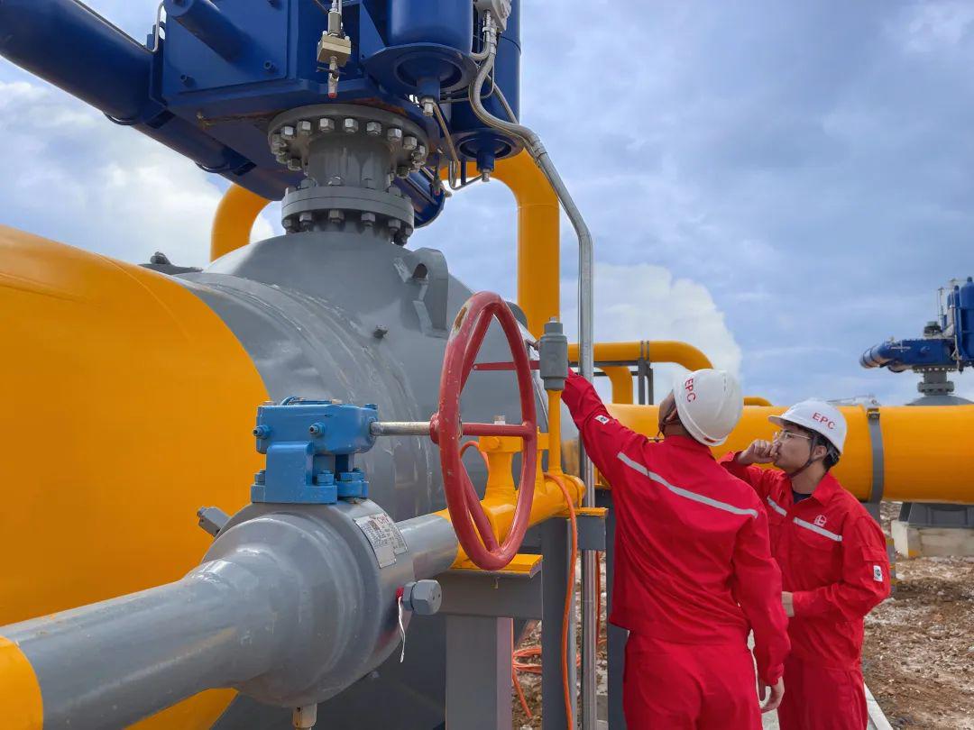 社区组织党员和工作人员成立入户宣传队